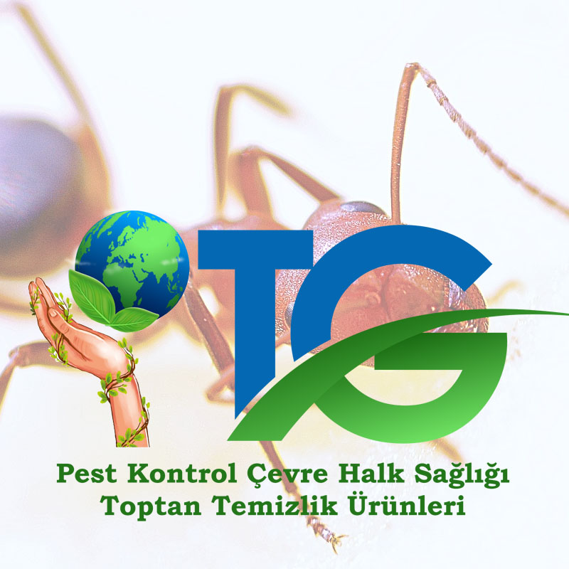 Temizlik rnleri